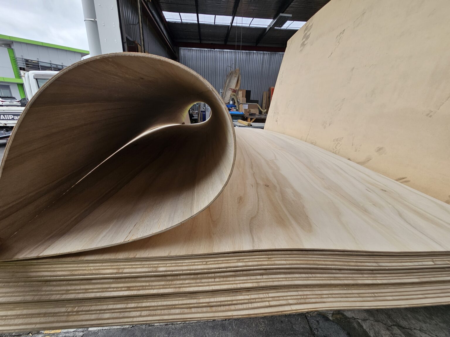 Bendy Ply LG Plywood City Ltd