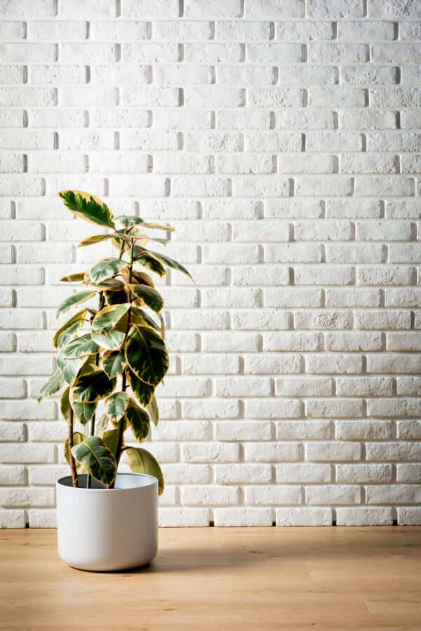Brickstone - White